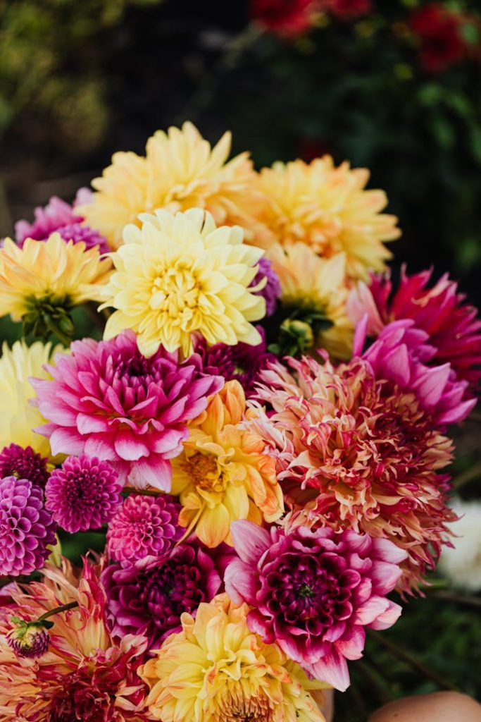 Close up of a Bouquet of Flowers